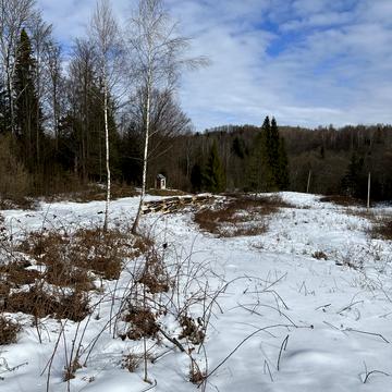 Солонецька