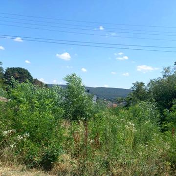 Почаївська