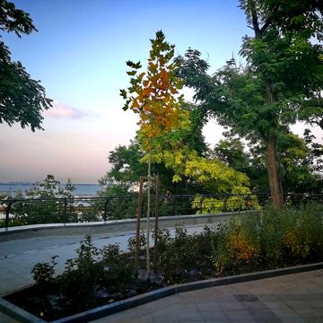 Торгова вул., 3