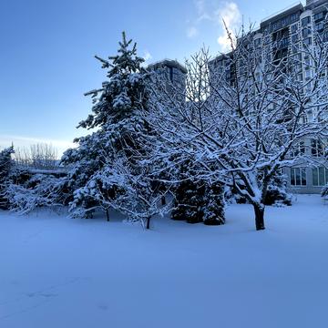 Лесі Українки вул.