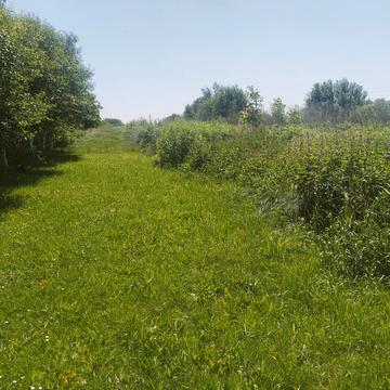 Червоної Калини вул.