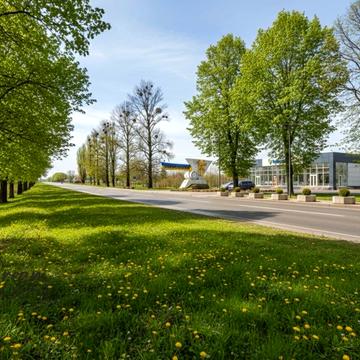 Панасівська