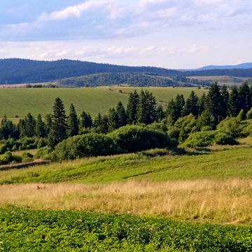 Лесі Українки вул.