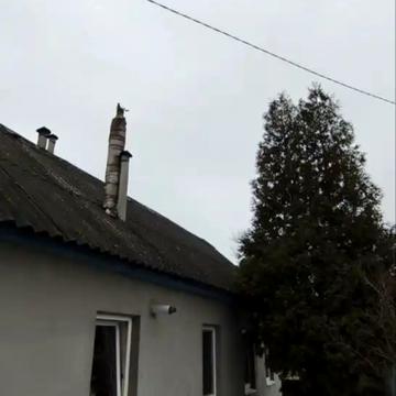 Чигиринська вул.