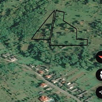 Центральна