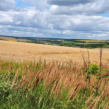 с. Демидівка. вул. Колгоспна