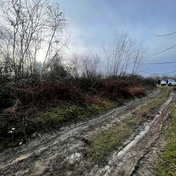 Оноківці, Ужгородський, Закарпатська область 22000.0 USD