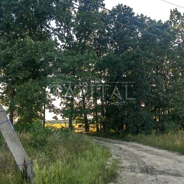 ДНЗ Барвінок, Крюківщина, Бучанський, Київська область 94500.0 USD