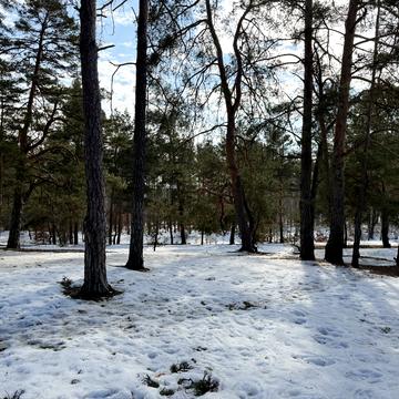 10-та Лінія вул.