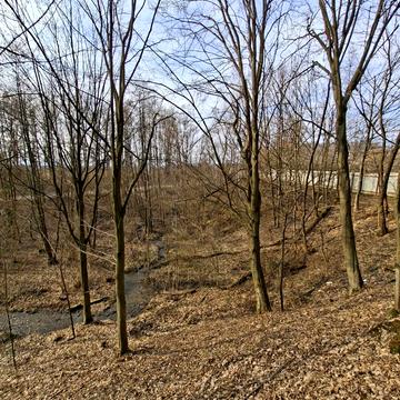 Бедевля, Тячівський, Закарпатська область 15000.0 USD