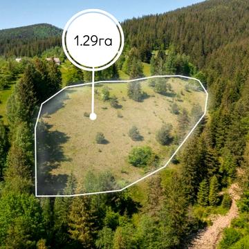 Микуличин, Надвірнянський, Івано-Франківська область 322500.0 USD