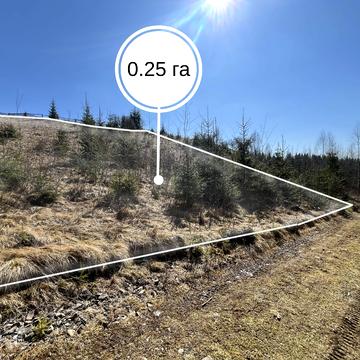 Яблуниця, Надвірнянський, Івано-Франківська область 75000.0 USD