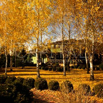 пр-т Броварський