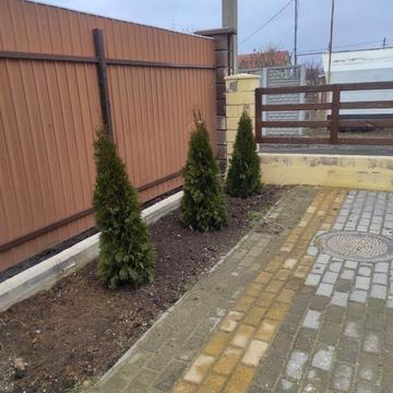 Олександрійська