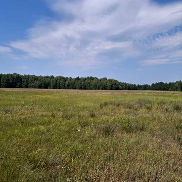 Нижча Дубечня, Вишгородський, Київська область 630000.0 USD