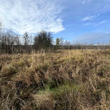 Ярослава Мудрого