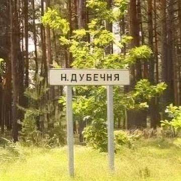 Нижча Дубечня, Вишгородський, Київська область 30000.0 USD