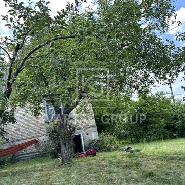 Виноградна, 11