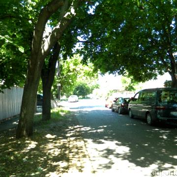 Авдеева черноморского, 17