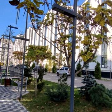 Нова Виноградна вул., 10