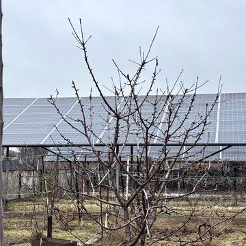 Перевіз вул. (Кубанська)