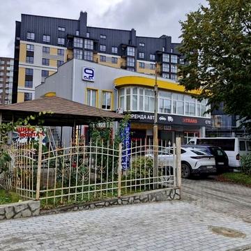 Панаса Мирного вул., 20/1