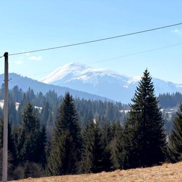 Яблуниця, Надвірнянський, Івано-Франківська область 15000.0 USD