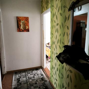 Леоніда Каденюка вул. (Пацаєва), 14 к1