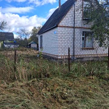 Зелений гай