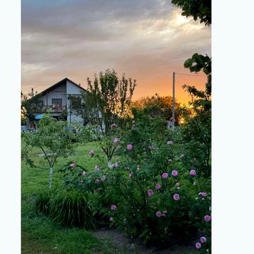 Деснянська вул.