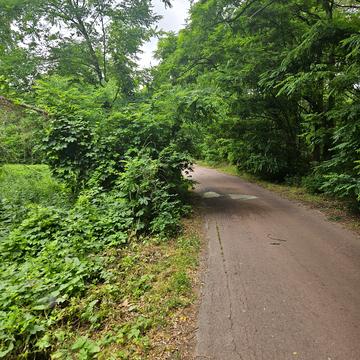 Проців, Бориспільський, Київська область 10000.0 USD