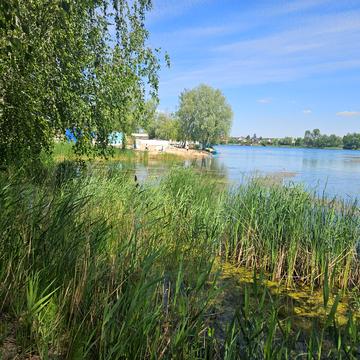 Гнідин, Бориспільський, Київська область 30000.0 USD