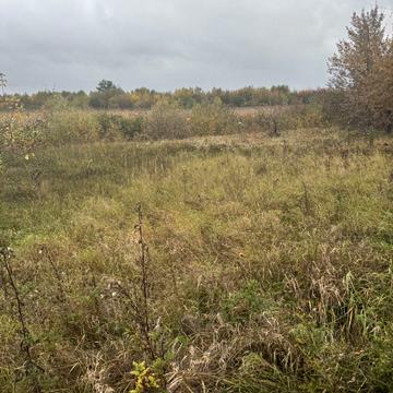 Нові Петрівці, Вишгородський, Київська область 213000.0 USD