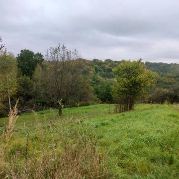 Бірки, Яворівський, Львівська область 70000.0 EUR