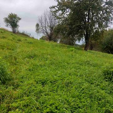 Рокитне, Яворівський, Львівська область 162000.0 EUR