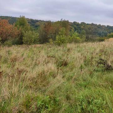 Лісопотік, Яворівський, Львівська область 83500.0 USD