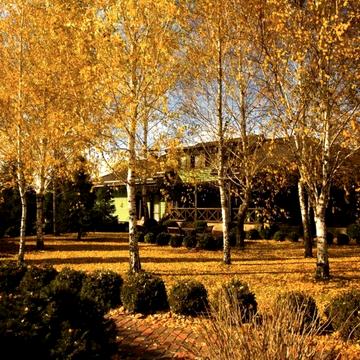 Анатолія Соловяненка вул.