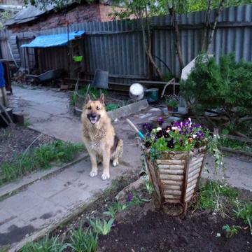 Бульварна вул. (Рози Люксембург)