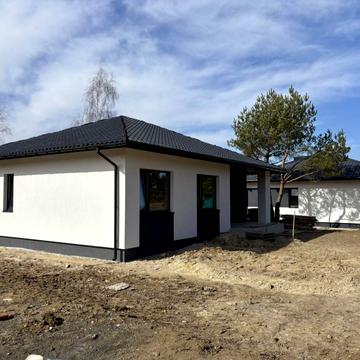 Золотого Лева