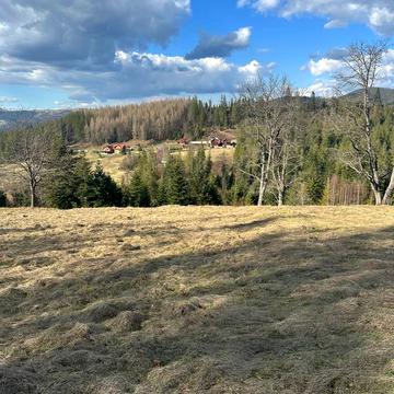 Микуличин, Надвірнянський, Івано-Франківська область 165000.0 USD