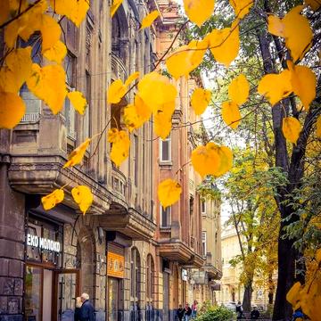 Костя Левицького вул. (), 62