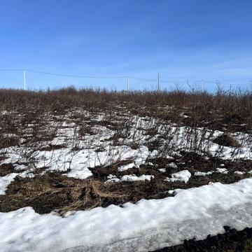 Княгині Ольги