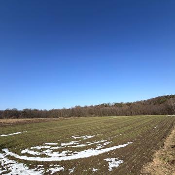 Буда, Яворівський, Львівська область 72000.0 USD