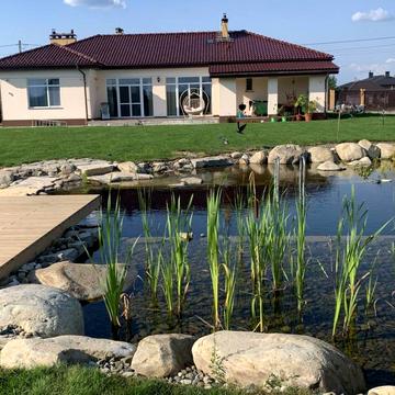 центральна