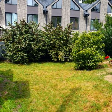 Павленка вул.