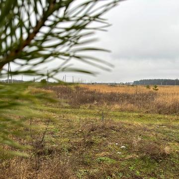 Лісне, Бучанський, Київська область 10000.0 USD