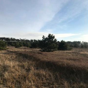 Дмитрівка, Бучанський, Київська область 11000.0 USD