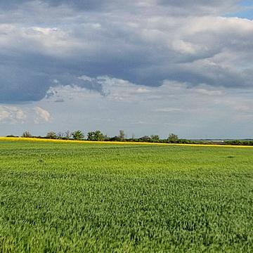 Білашки, Звенигородський, Черкаська область 12000.0 USD