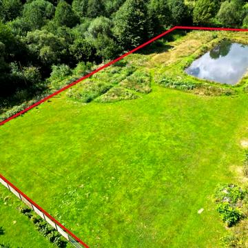 Верхнє Синьовидне, Стрийський, Львівська область 45000.0 USD