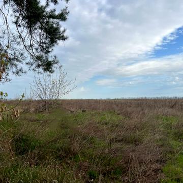 Гостомель, Бучанський, Київська область 15000.0 USD